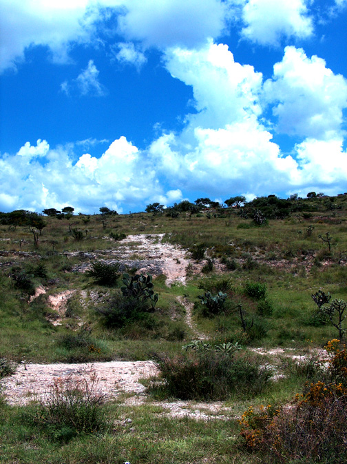 zzzz480700290_9486084954782946_8097224553608143972_n