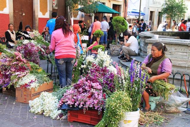 zzzz478556001_9576080552450052_4139194804997981448_n