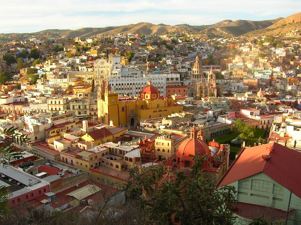 zzzz481824960_9582150315176409_1007871646698978670_n