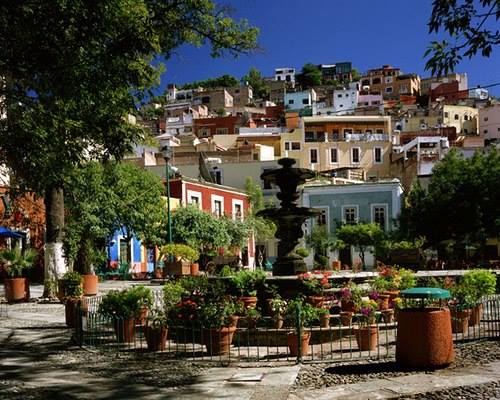 zzzz487213090_9711475775577195_8472756193154958737_n